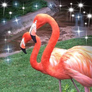 Meet your Posher, Wanda